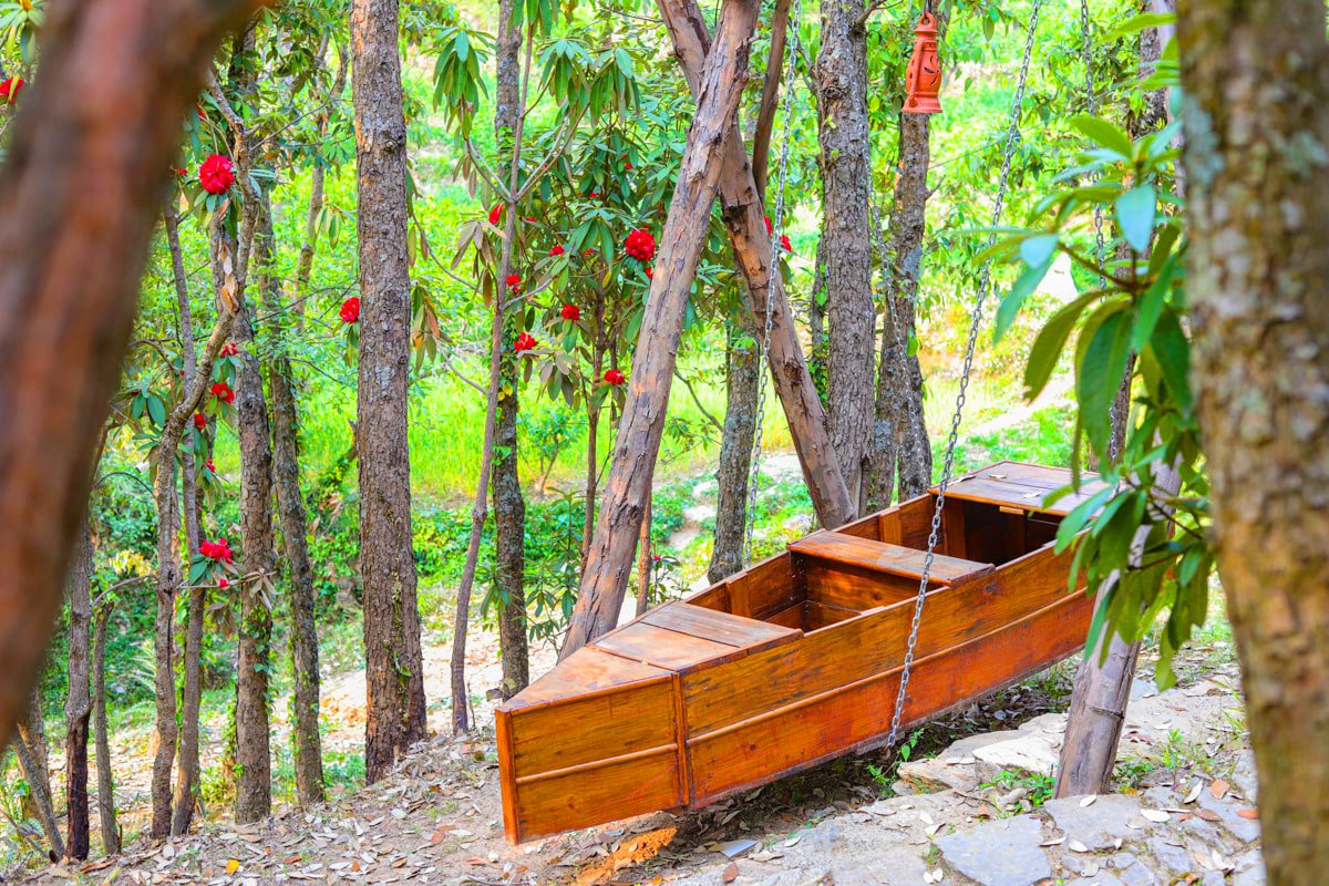 Tree house Mukteshwar