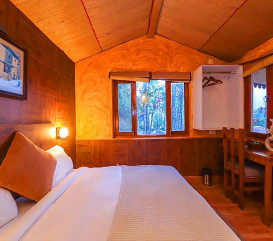 Alpine Swift balcony room